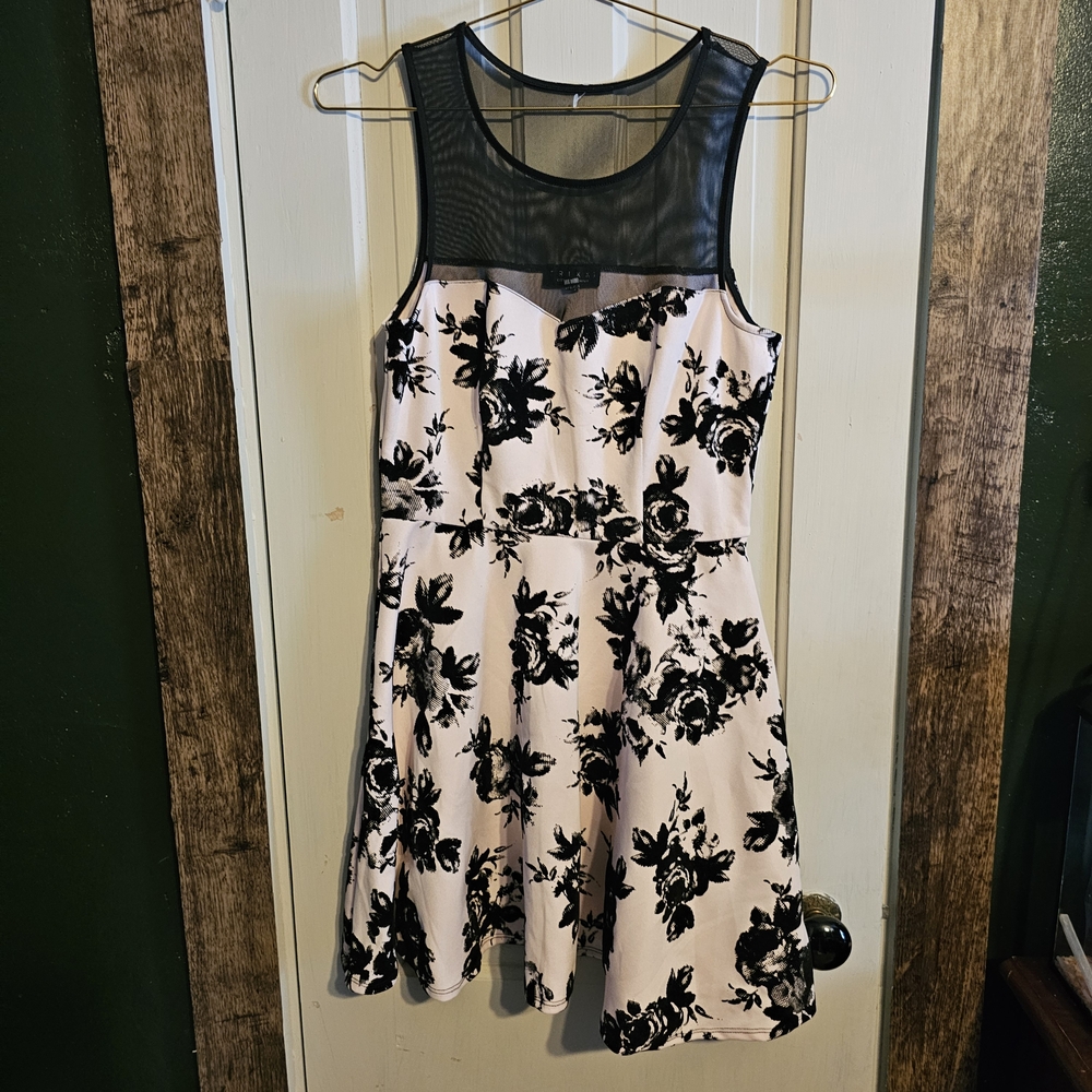 Trixxi Black Mesh Yoke Dress with Pale Pink Lining